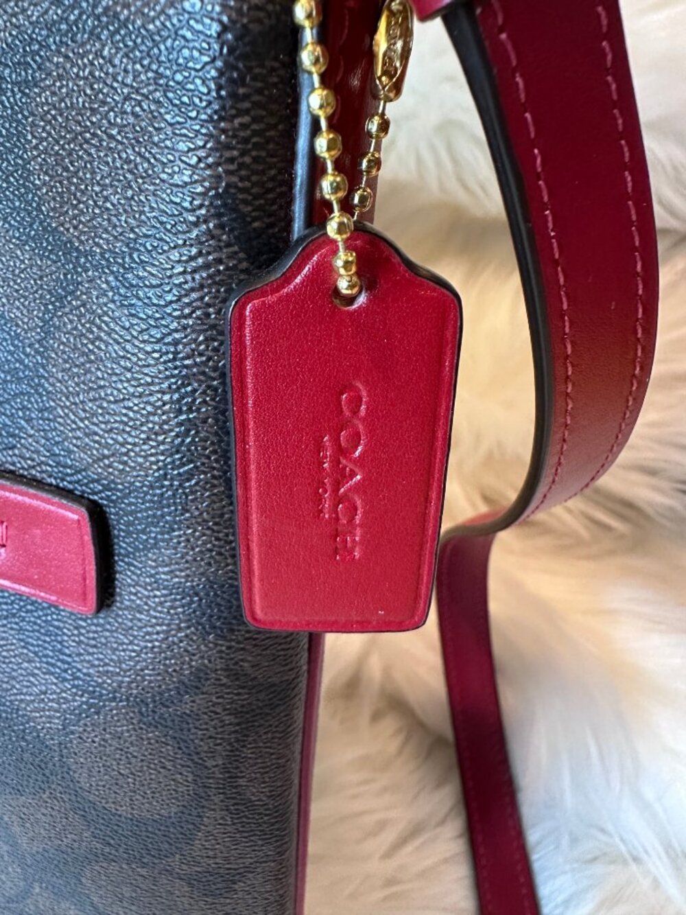 Coach Rowan Crossbody File Bag In Red/Signature Canvas - Picture 5 of 11